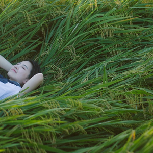 灌肠惩罚男男sp
